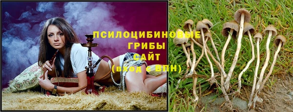 apvp Армянск