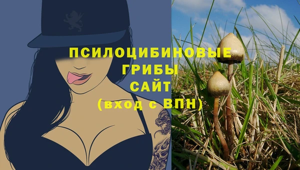 MESCALINE Арсеньев