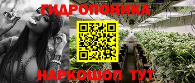 метадон Брянск