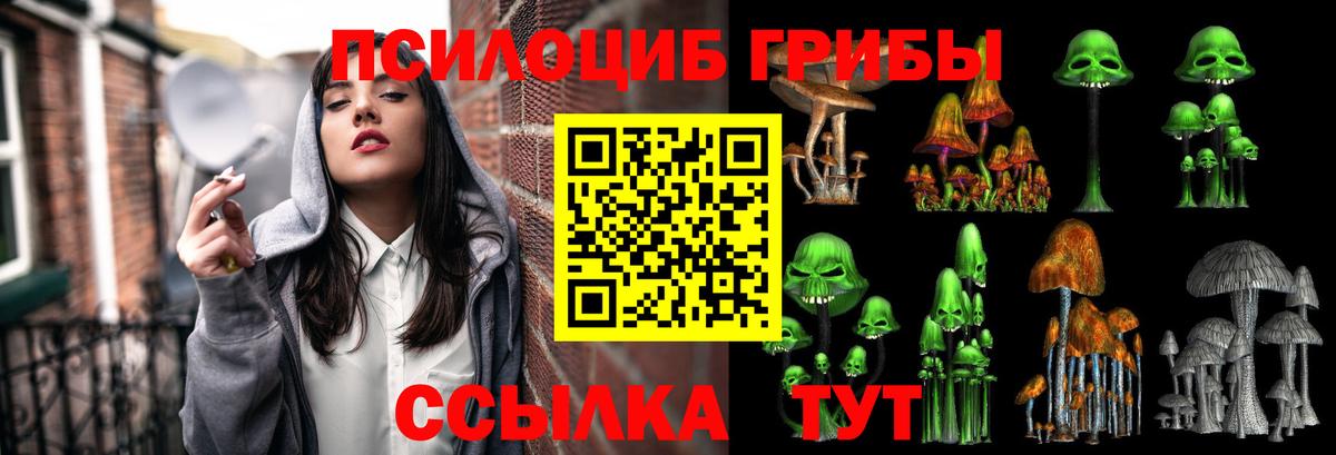Псилоцибиновые грибы прущие грибы Брянск