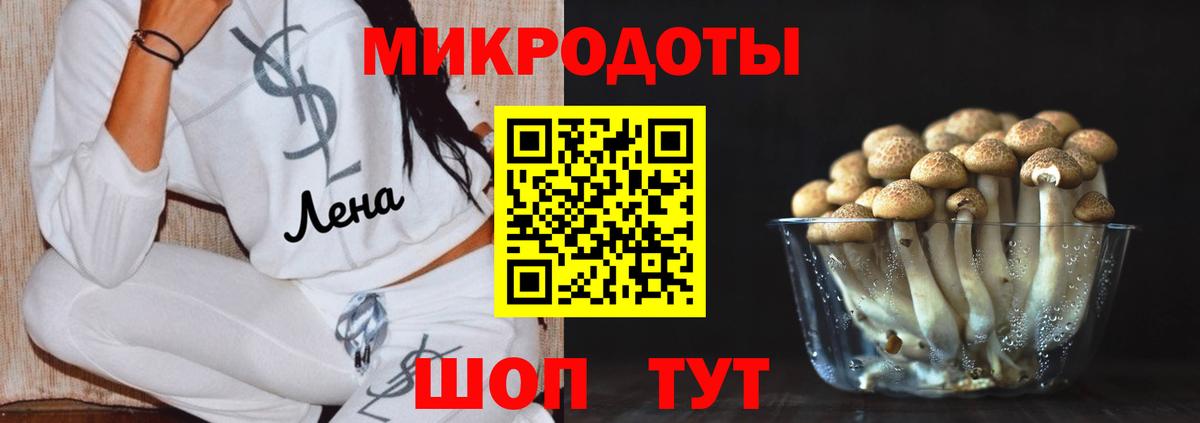 Псилоцибиновые грибы MAGIC MUSHROOMS  Галлюциногенные грибы Psilocybine cubensis  Брянск  Вход с VPN 